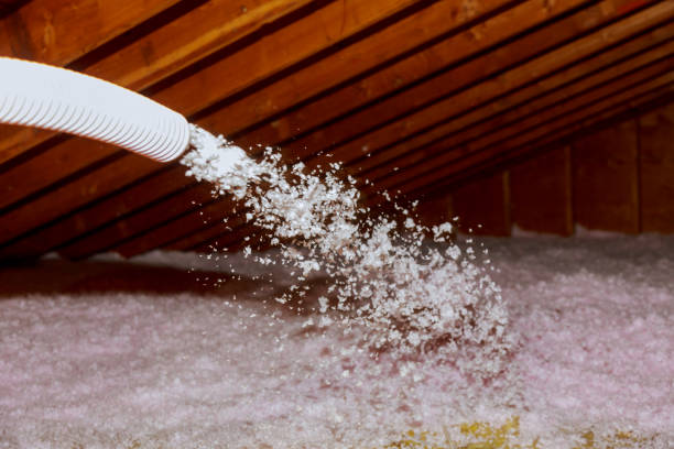 Best Energy Efficiency Solutions in Rockwood, TN